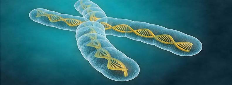 Genética y Síndrome de Down Peculiaridades en el síndrome de Down y Novedades en genética del cromosoma 21 Genética y Síndrome de Down