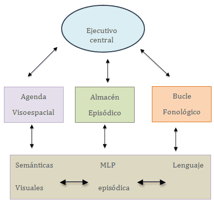 Memoria en el síndrome de Down
