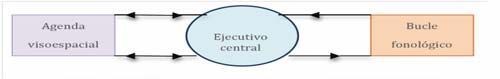 Vision Espacial