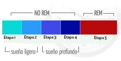 Sueño Rem Down Ciclopedia