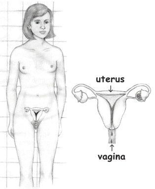 Síndrome de Down cómo manejar la menstruación